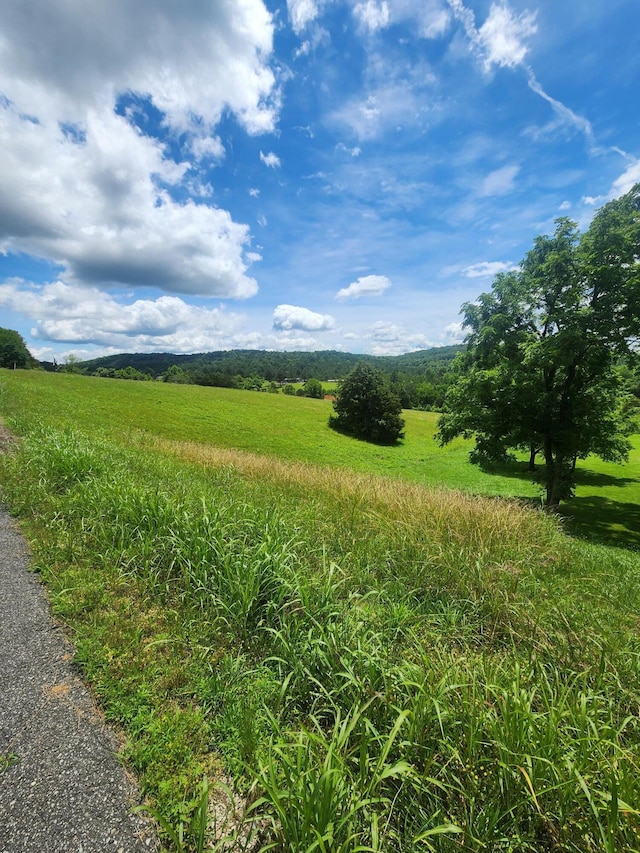 0 Goodfield Ter Unit 25, Decatur, TN 37322