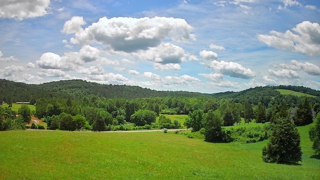 0 Goodfield Ter Unit 25, Decatur, TN 37322