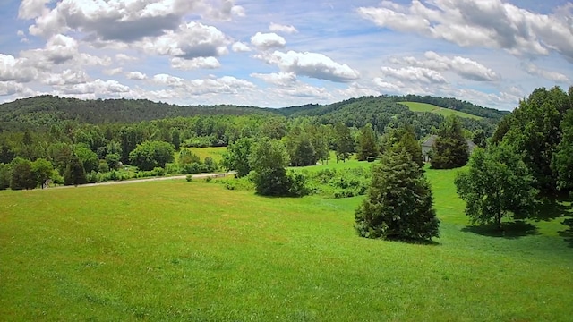 0 Goodfield Ter Unit 25, Decatur, TN 37322