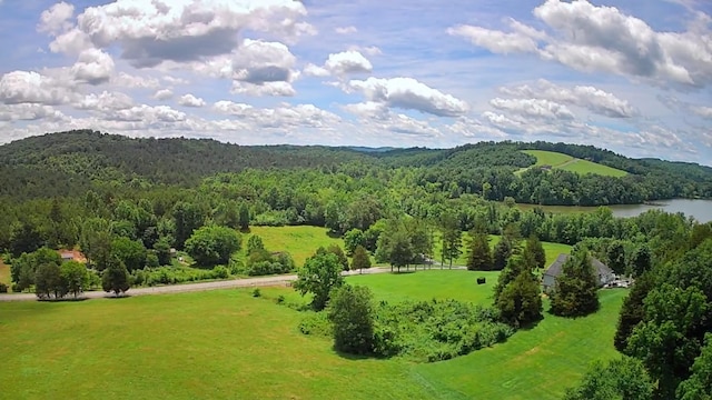 0 Goodfield Ter Unit 25, Decatur, TN 37322