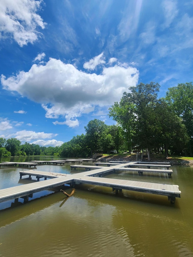 0 Goodfield Ter Unit 25, Decatur, TN 37322