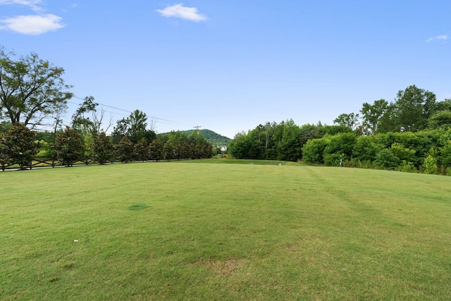 3620 Weathervane, Apison, TN 37302 - view of grassy yard