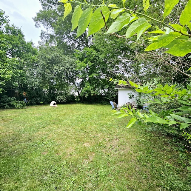 1610 Castleberry Ave, Chattanooga, TN 37412 - view of green lawn