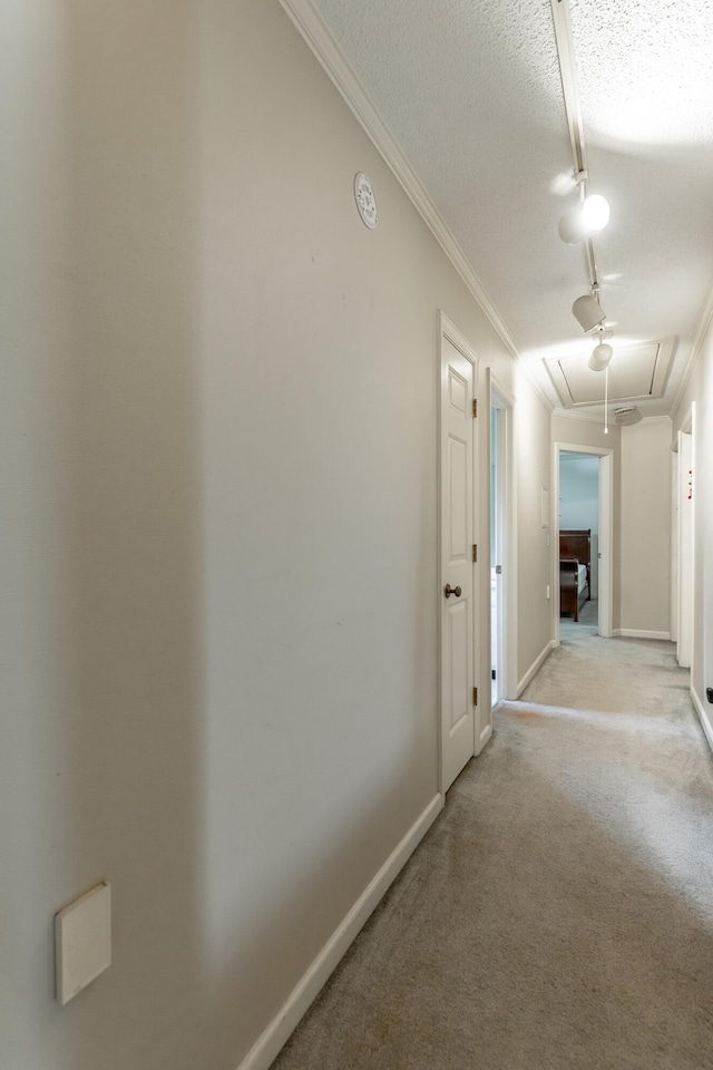 1820 Colonial Way Cir, Hixson, TN 37343 - hallway featuring attic access, light carpet, a textured ceiling, baseboards, and crown molding