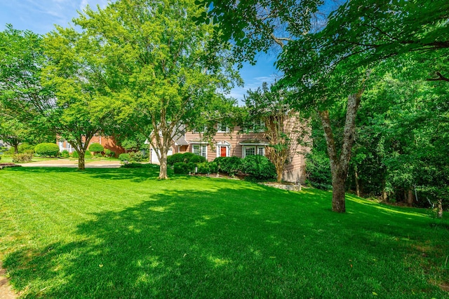 1820 Colonial Way Cir, Hixson, TN 37343 - view of green lawn