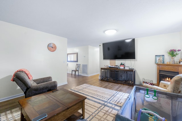 259 Osburn Rd, Chickamauga, GA 30707 - living area featuring wood finished floors, baseboards, and a warm lit fireplace