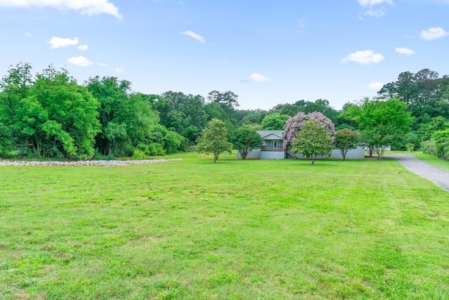 259 Osburn Rd, Chickamauga, GA 30707 - view of green lawn