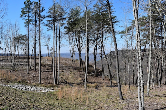 0 Pine Knot Pass Unit 34, Jasper, TN 37347