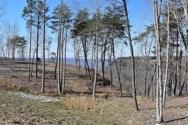 0 Pine Knot Pass Unit 34, Jasper, TN 37347