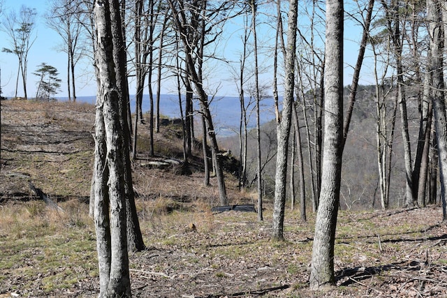 0 Pine Knot Pass Unit 34, Jasper, TN 37347