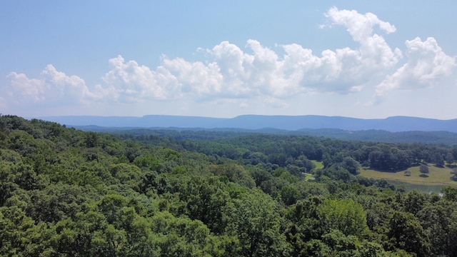 25ACRES Valley View Highway, Whitwell, TN 37397