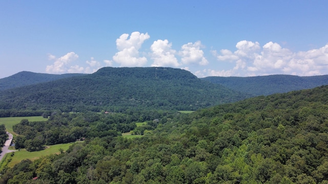 25ACRES Valley View Highway, Whitwell, TN 37397
