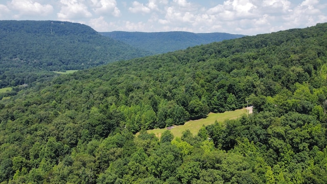 25ACRES Valley View Highway, Whitwell, TN 37397