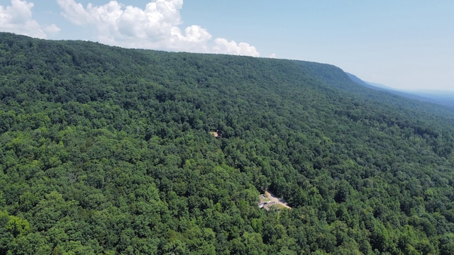 25ACRES Valley View Highway, Whitwell, TN 37397