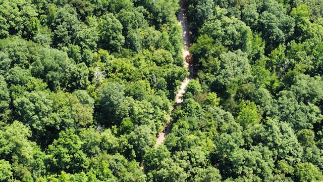 25ACRES Valley View Highway, Whitwell, TN 37397