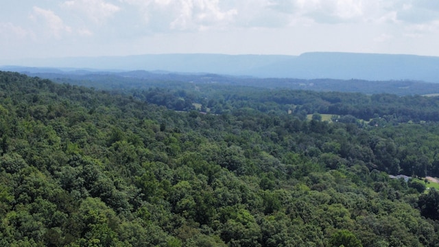 25ACRES Valley View Highway, Whitwell, TN 37397