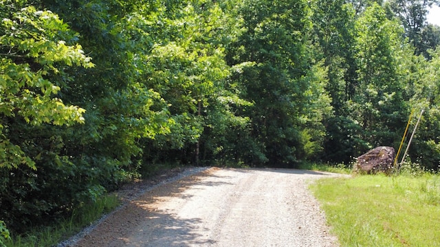 25ACRES Valley View Highway, Whitwell, TN 37397