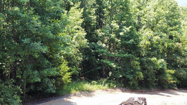 25ACRES Valley View Highway, Whitwell, TN 37397