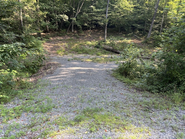 25ACRES Valley View Highway, Whitwell, TN 37397