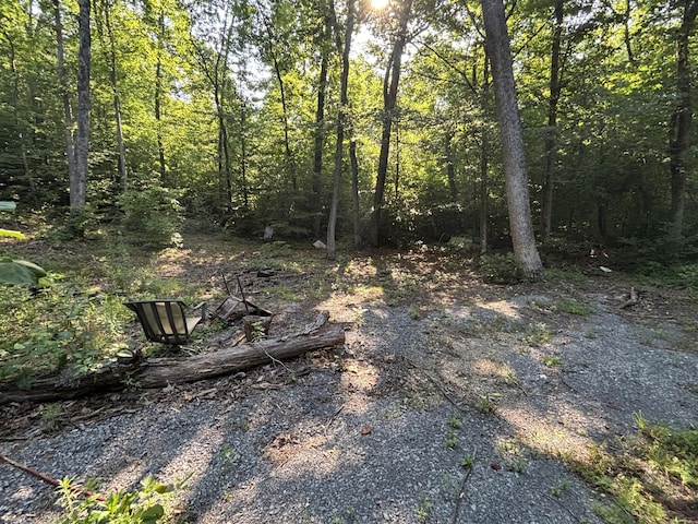 25ACRES Valley View Highway, Whitwell, TN 37397