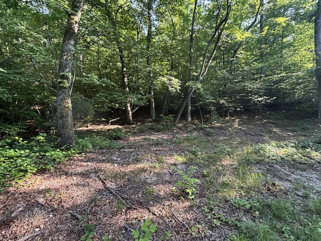 25ACRES Valley View Highway, Whitwell, TN 37397