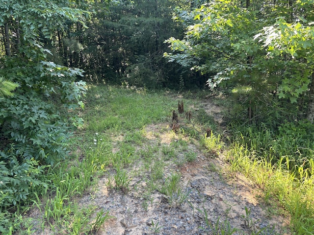 25ACRES Valley View Highway, Whitwell, TN 37397