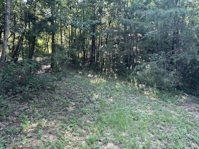 25ACRES Valley View Highway, Whitwell, TN 37397