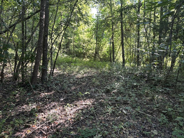 25ACRES Valley View Highway, Whitwell, TN 37397