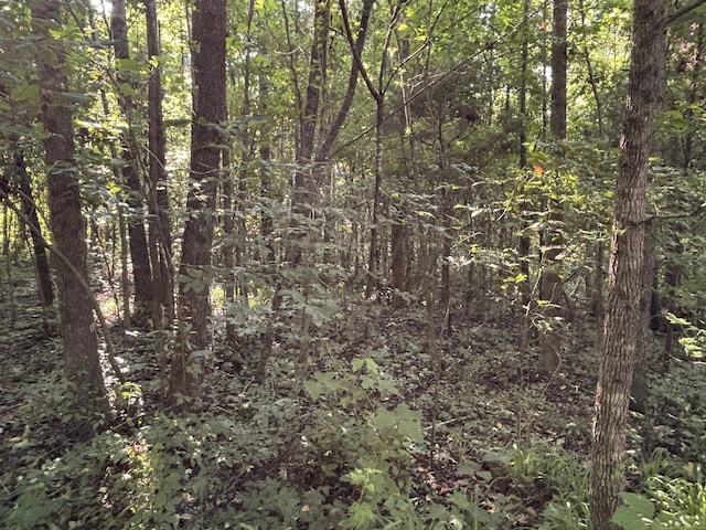 25ACRES Valley View Highway, Whitwell, TN 37397