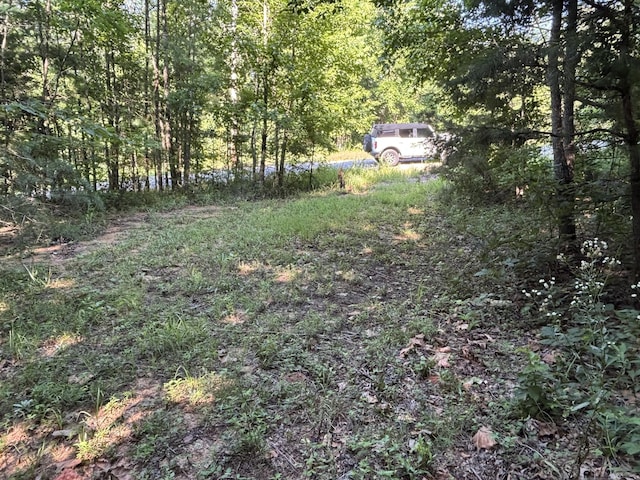 25ACRES Valley View Highway, Whitwell, TN 37397