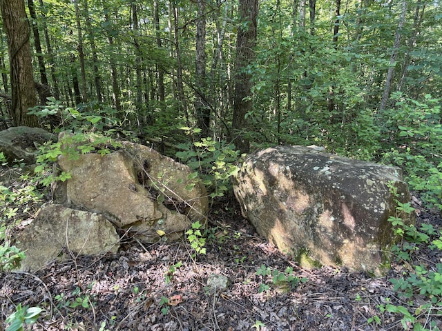 25ACRES Valley View Highway, Whitwell, TN 37397