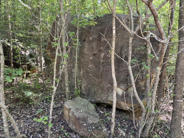 25ACRES Valley View Highway, Whitwell, TN 37397