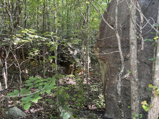 25ACRES Valley View Highway, Whitwell, TN 37397