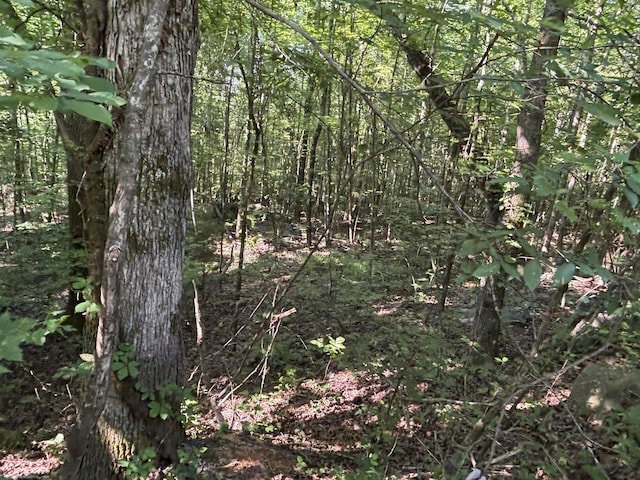 25ACRES Valley View Highway, Whitwell, TN 37397