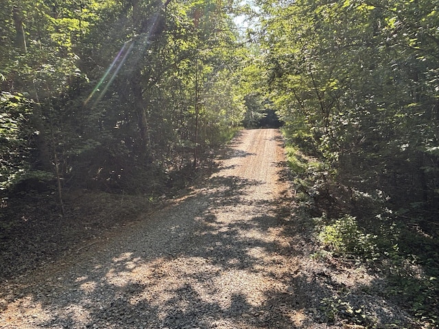 25ACRES Valley View Highway, Whitwell, TN 37397