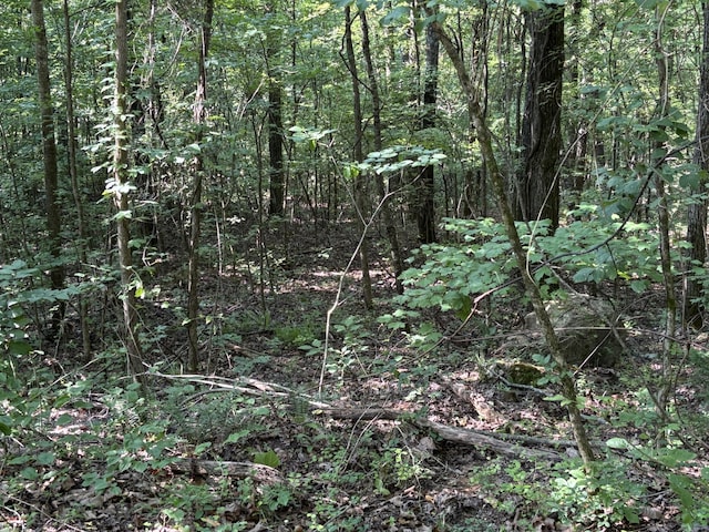 25ACRES Valley View Highway, Whitwell, TN 37397