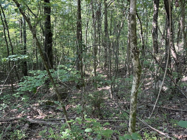 25ACRES Valley View Highway, Whitwell, TN 37397