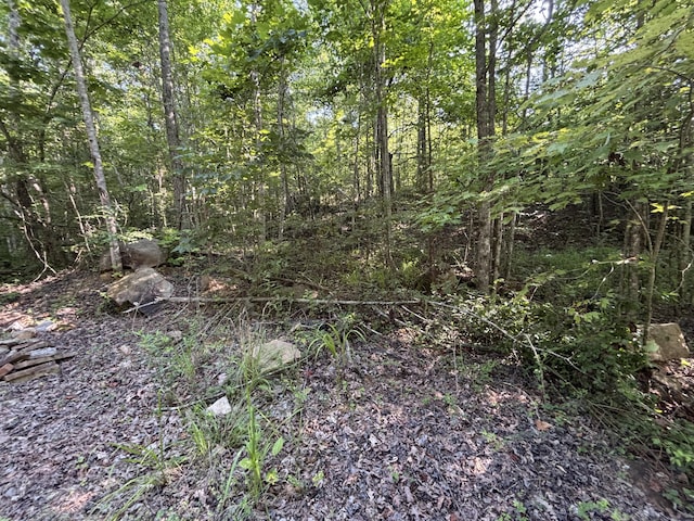 25ACRES Valley View Highway, Whitwell, TN 37397