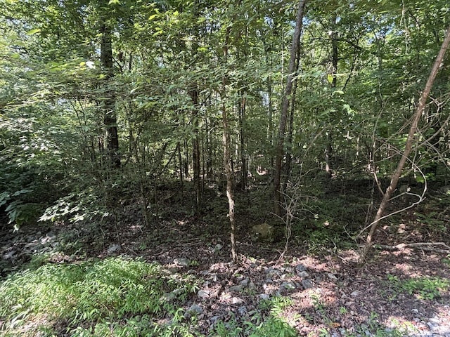 25ACRES Valley View Highway, Whitwell, TN 37397