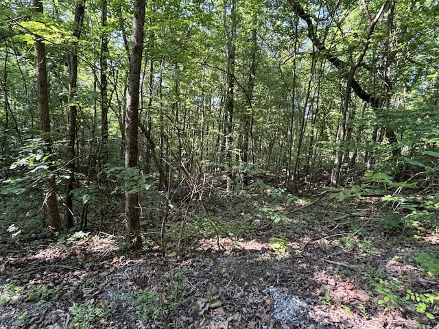 25ACRES Valley View Highway, Whitwell, TN 37397