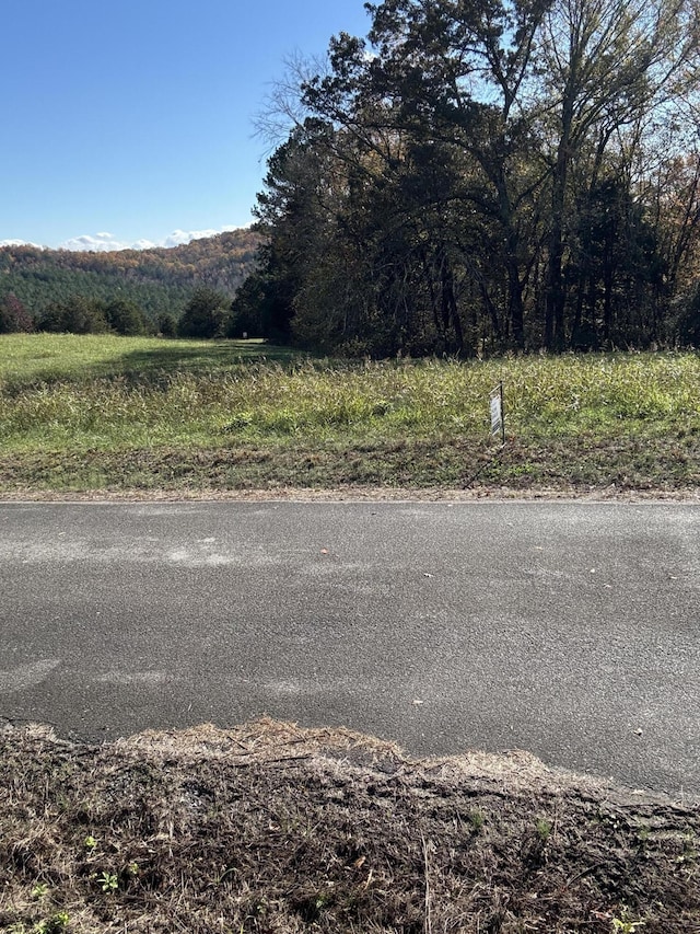 00 Goodfield Ter Lot 33, Decatur, TN 37322 - photo 3