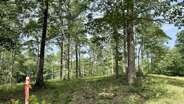 LOT4 Hobbstown Rd Unit 4, Dunlap, TN 37327 - photo 4