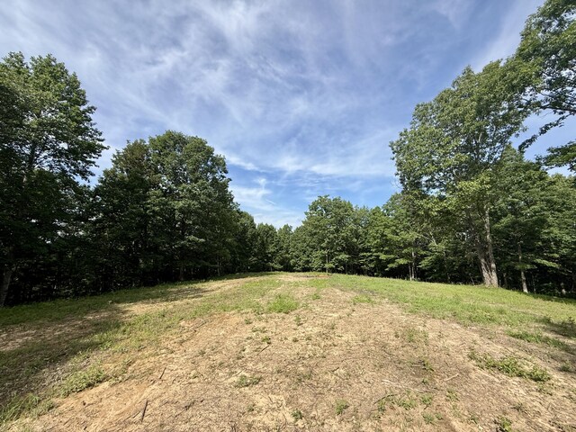 LOT4 Hobbstown Rd Unit 4, Dunlap, TN 37327 - photo 5