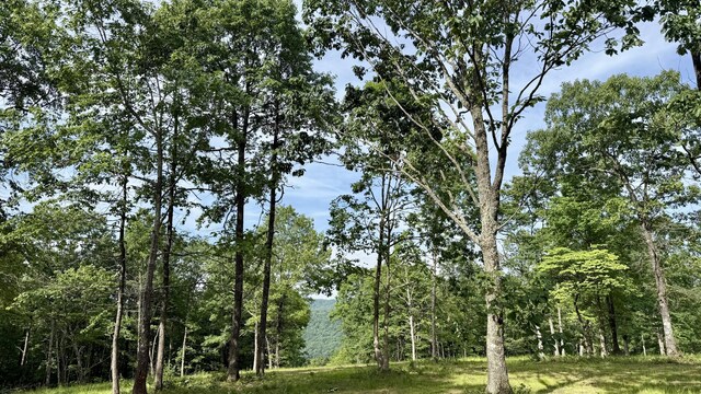 LOT4 Hobbstown Rd Unit 4, Dunlap, TN 37327 - photo 1
