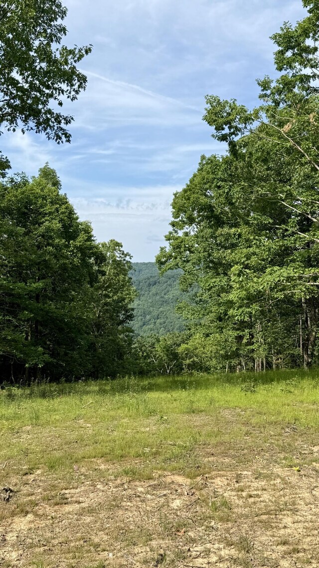 LOT4 Hobbstown Rd Unit 4, Dunlap, TN 37327 - photo 2