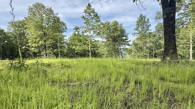 LOT4 Hobbstown Rd Unit 4, Dunlap, TN 37327 - photo 3