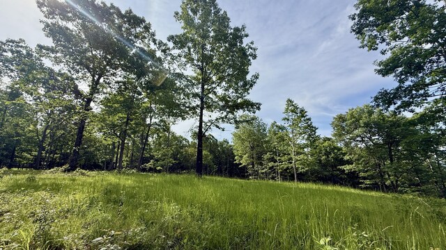 LOT4 Hobbstown Rd Unit 4, Dunlap, TN 37327 - photo 6