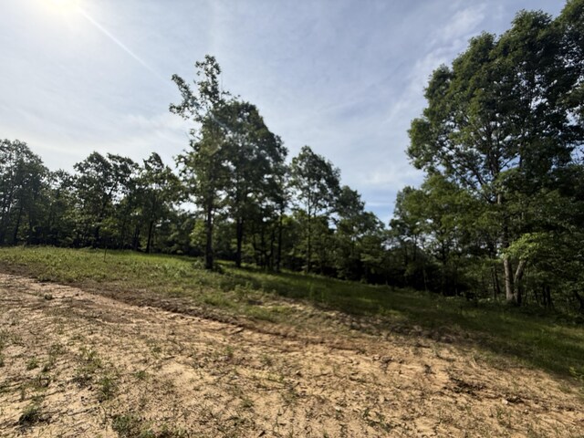 LOT4 Hobbstown Rd Unit 4, Dunlap, TN 37327 - photo 8