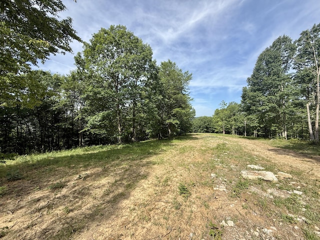LOT4 Hobbstown Rd Unit 4, Dunlap, TN 37327 - photo 9