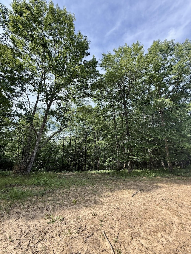 LOT4 Hobbstown Rd Unit 4, Dunlap, TN 37327 - photo 11
